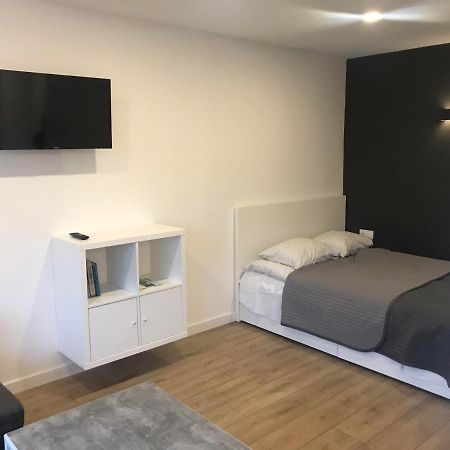 Biliuno Studio Apartment Anykščiai Bagian luar foto