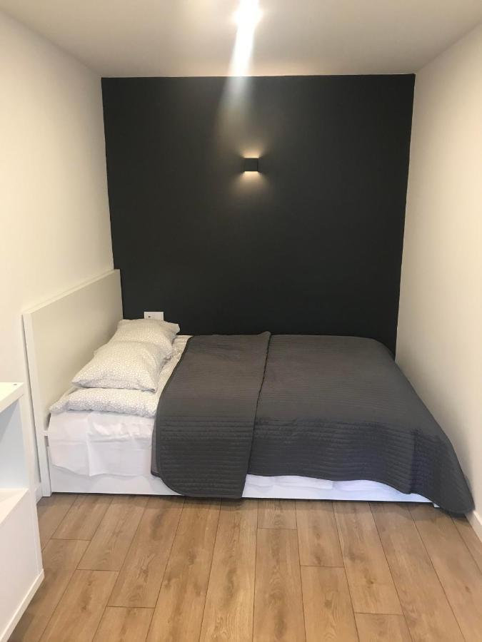 Biliuno Studio Apartment Anykščiai Bagian luar foto