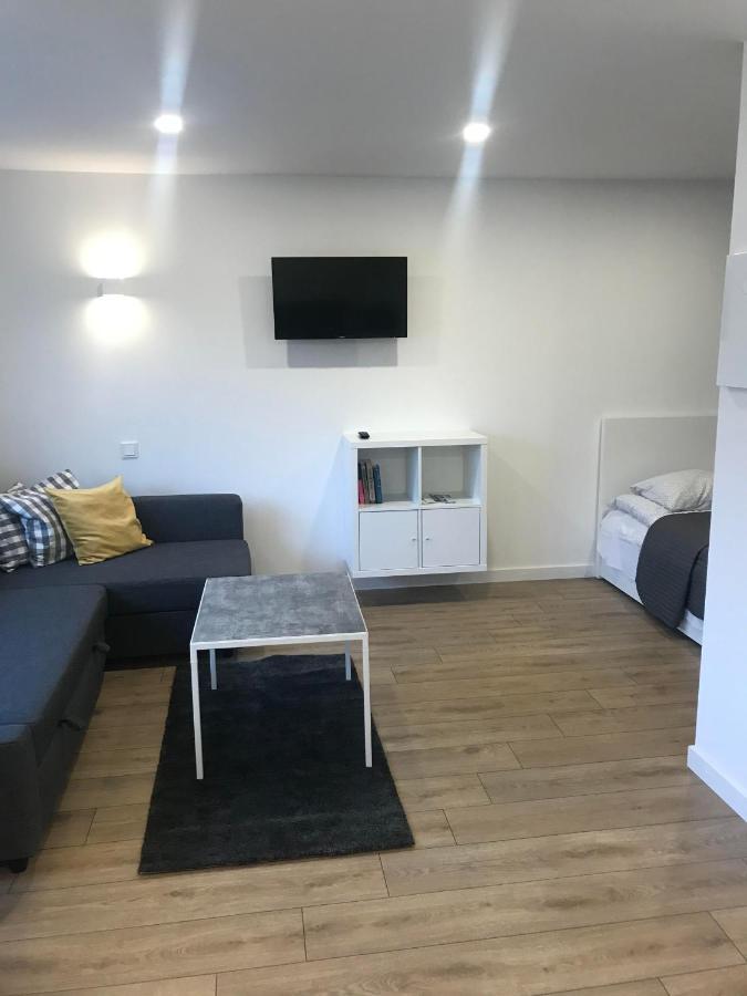 Biliuno Studio Apartment Anykščiai Bagian luar foto